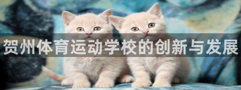 米兰体育官方正版app集团:贺州体育运动学校的创新与发展