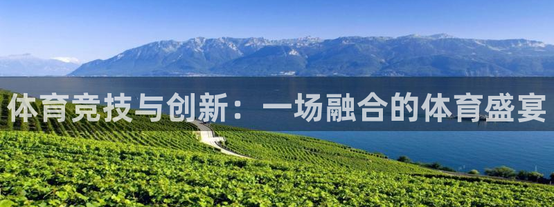 米兰体育官网下载平台:体育竞技与创新:一场融合的体育盛宴