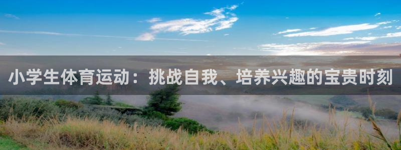 米兰体育官方正版app娱乐40996:小学生体育运动:挑战自